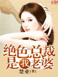 我的绝色总裁老婆境界